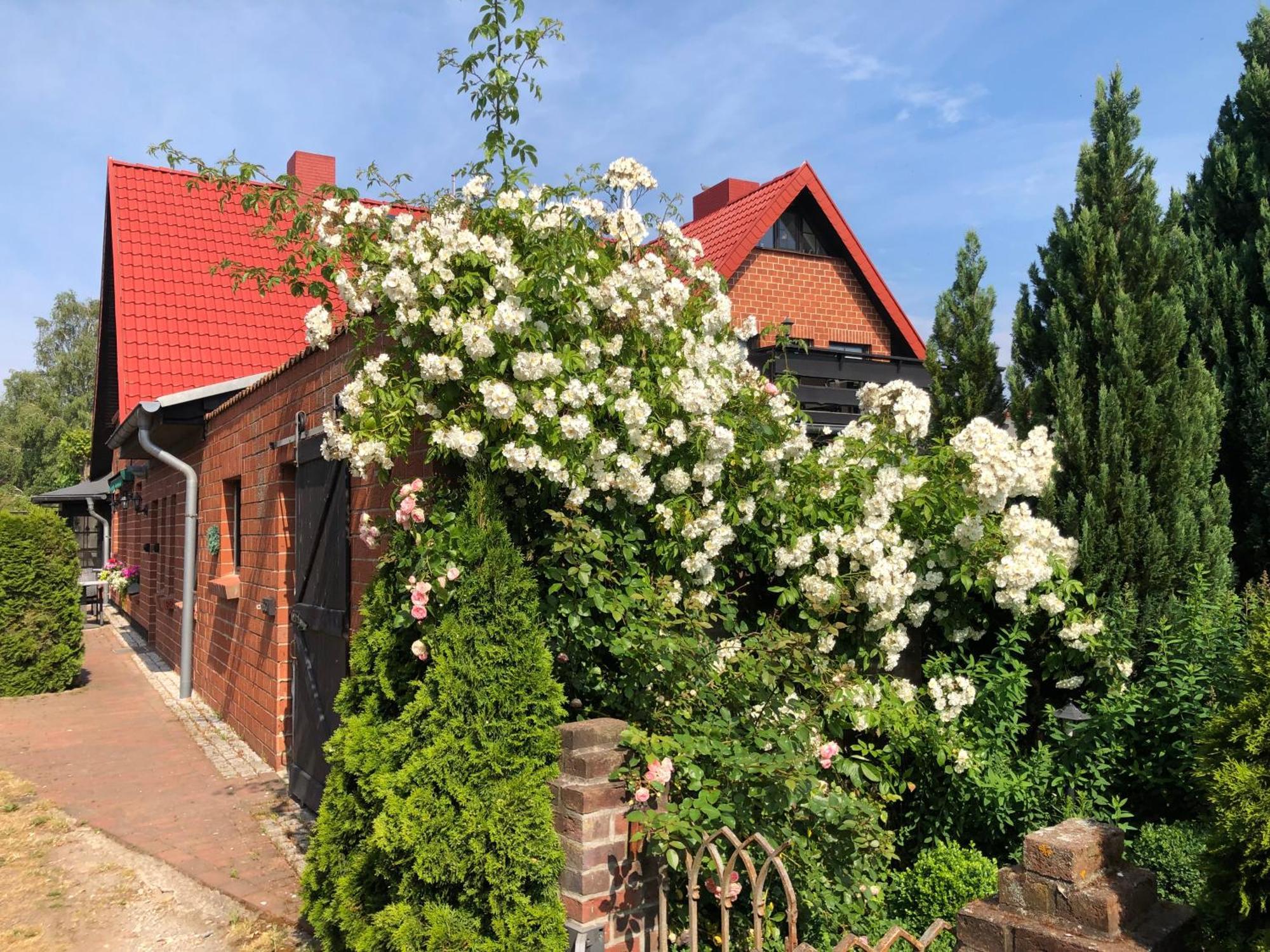 Landhaus Schlunt Вустров Екстериор снимка